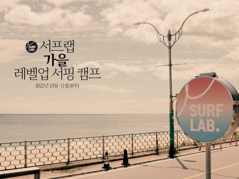 2025 가을 서핑 레벨업 캠프 / 가을캠프